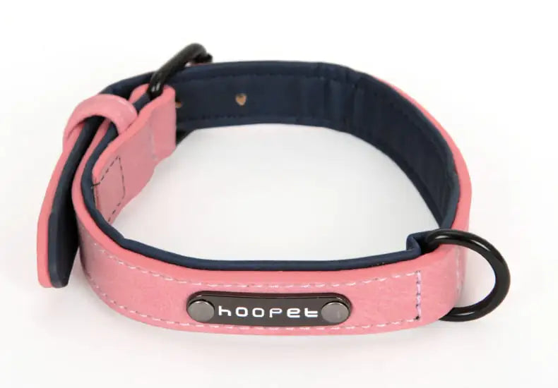 Teddy Bear Collar with Leash for Small to Medium Dogs
