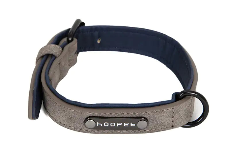 Teddy Bear Collar with Leash for Small to Medium Dogs
