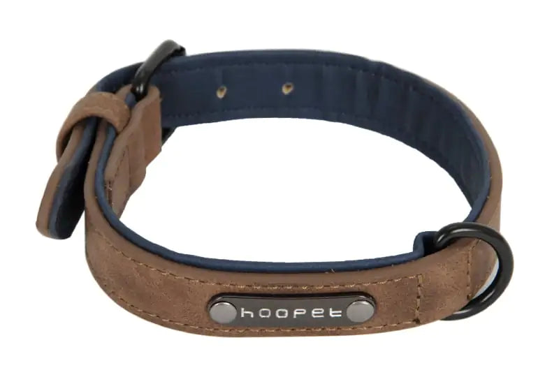 Teddy Bear Collar with Leash for Small to Medium Dogs