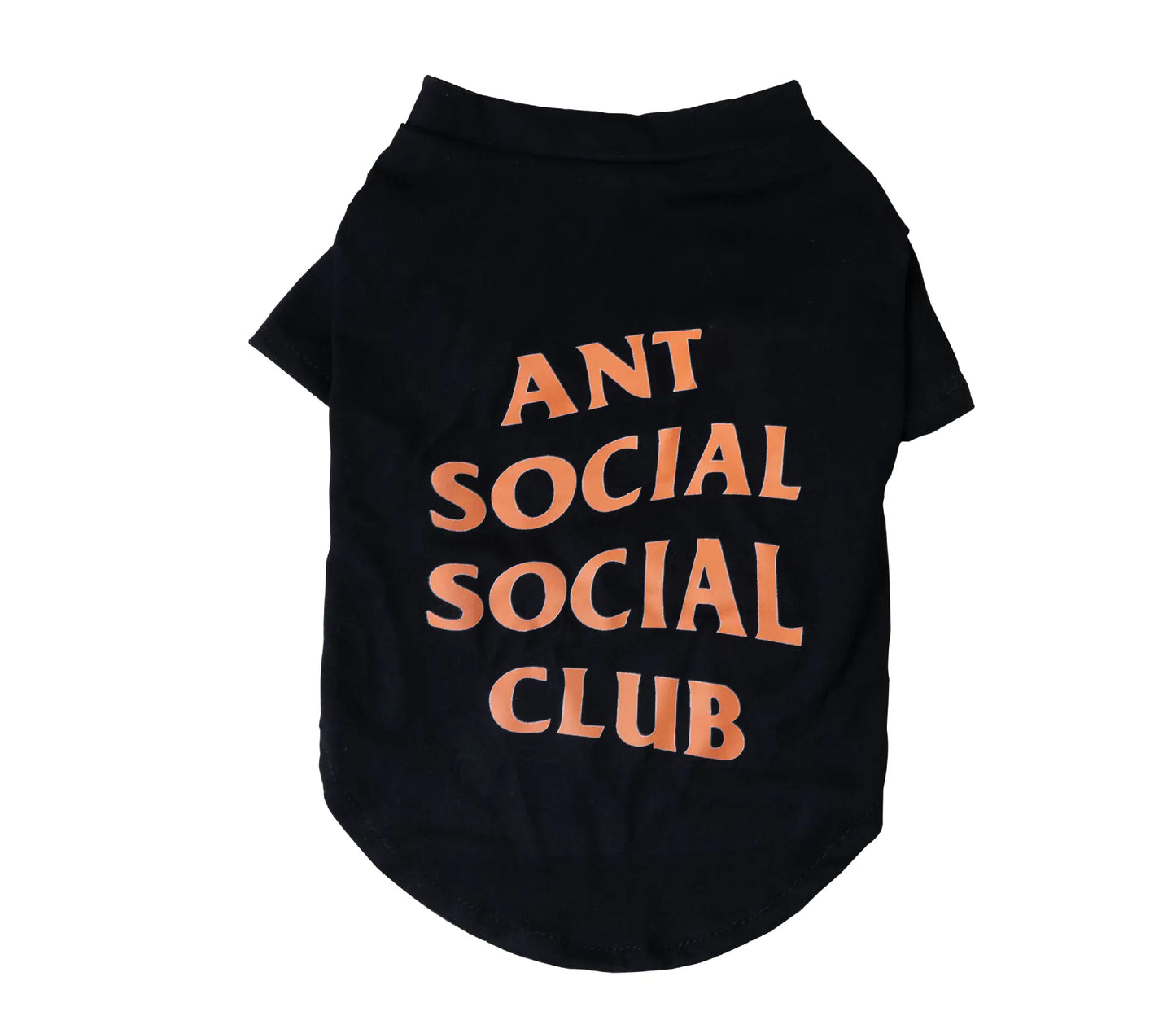 Trendy Summer Dog Clothes from Popular Pet Brand