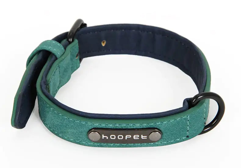 Teddy Bear Collar with Leash for Small to Medium Dogs