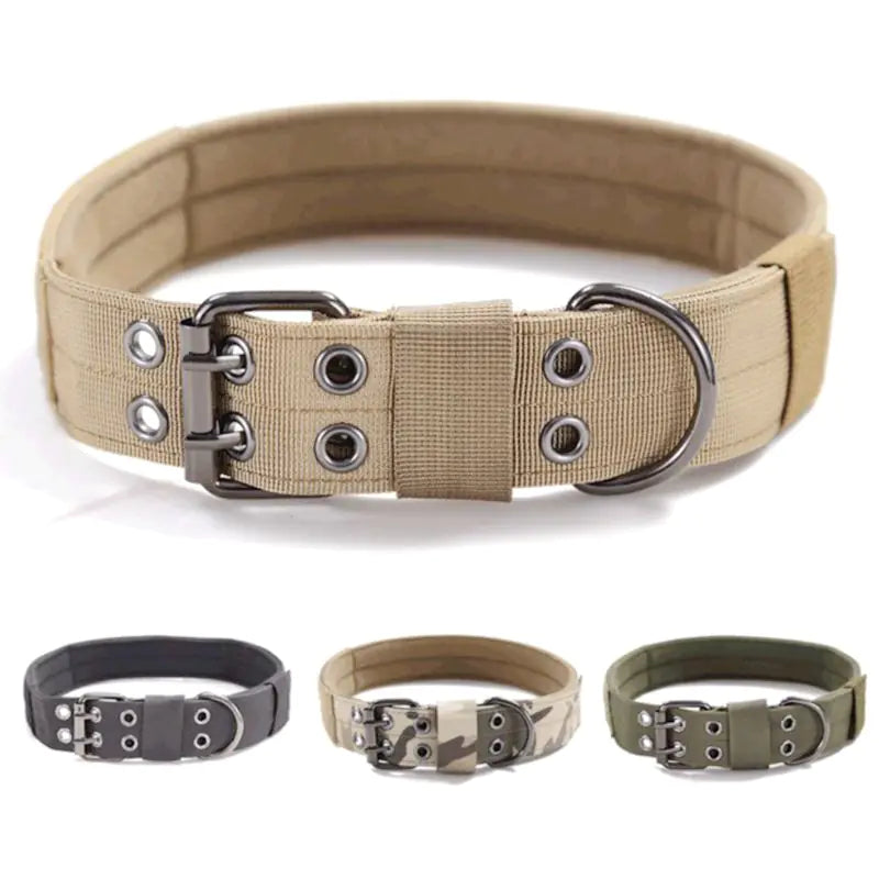 Medium and Large Dog Collar - Adjustable and Durable