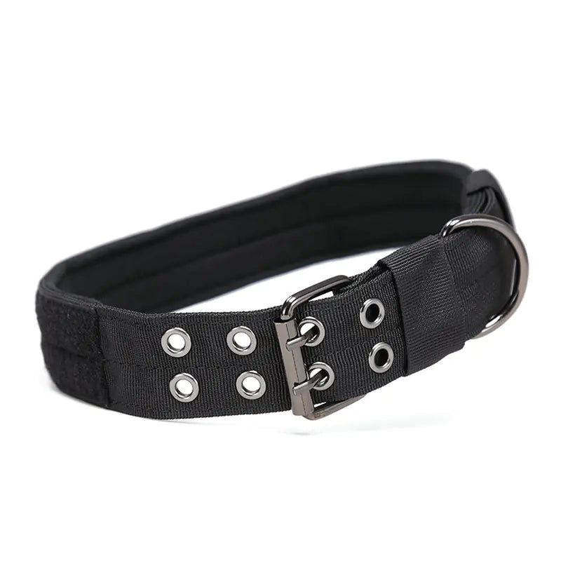 Medium and Large Dog Collar - Adjustable and Durable