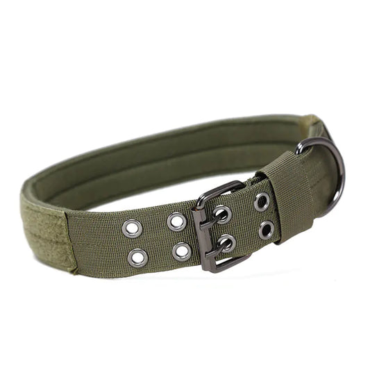 Medium and Large Dog Collar - Adjustable and Durable