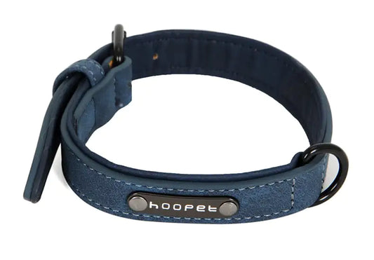 Teddy Bear Collar with Leash for Small to Medium Dogs